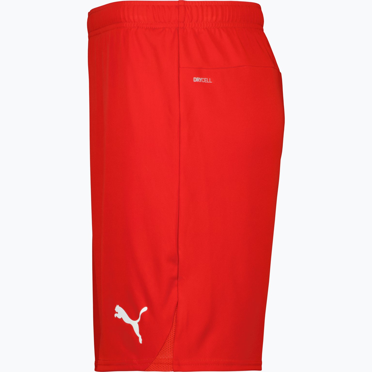 Puma teamGOAL Shorts Jr  Röd