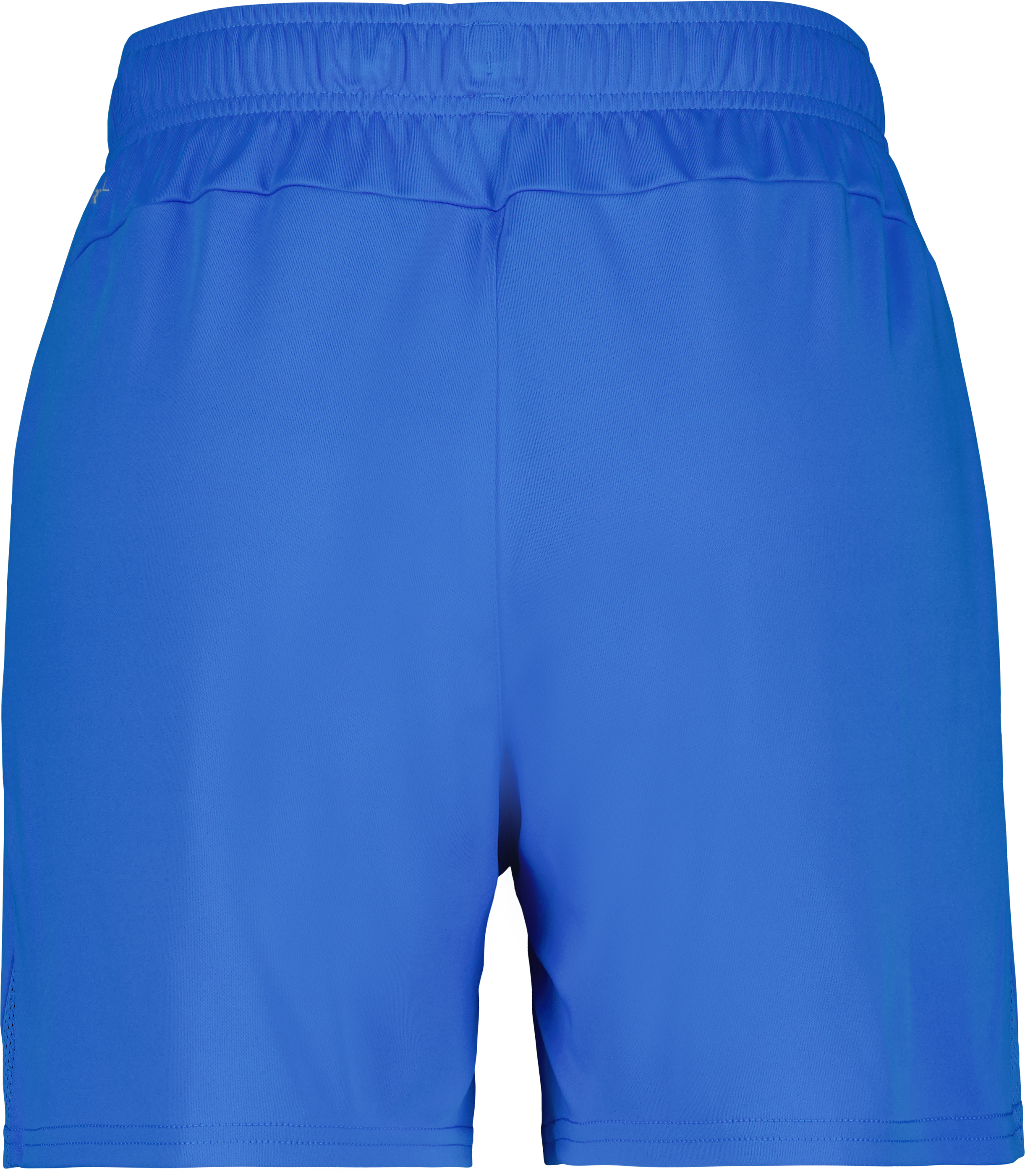 teamGOAL Shorts W 