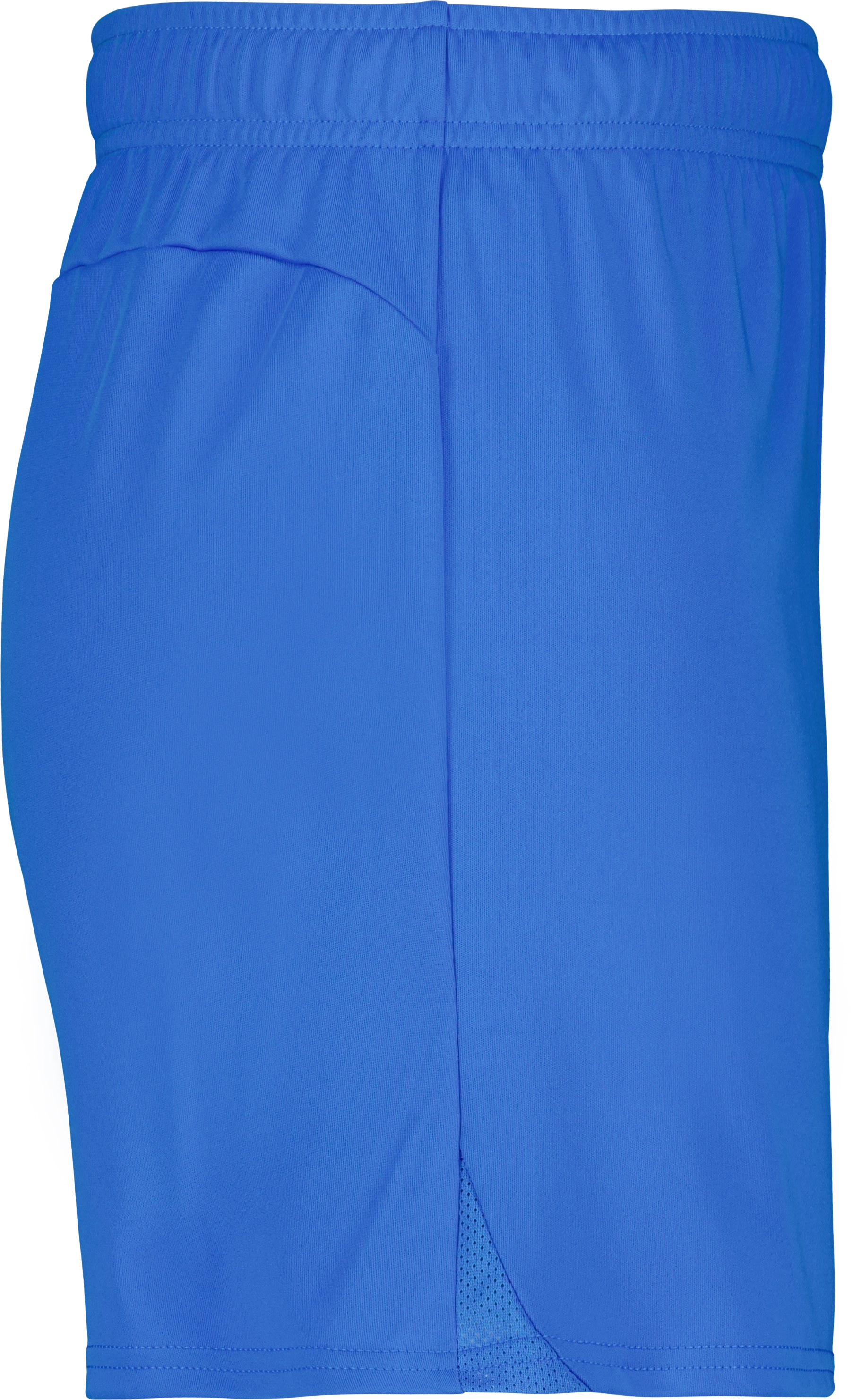 teamGOAL Shorts W 