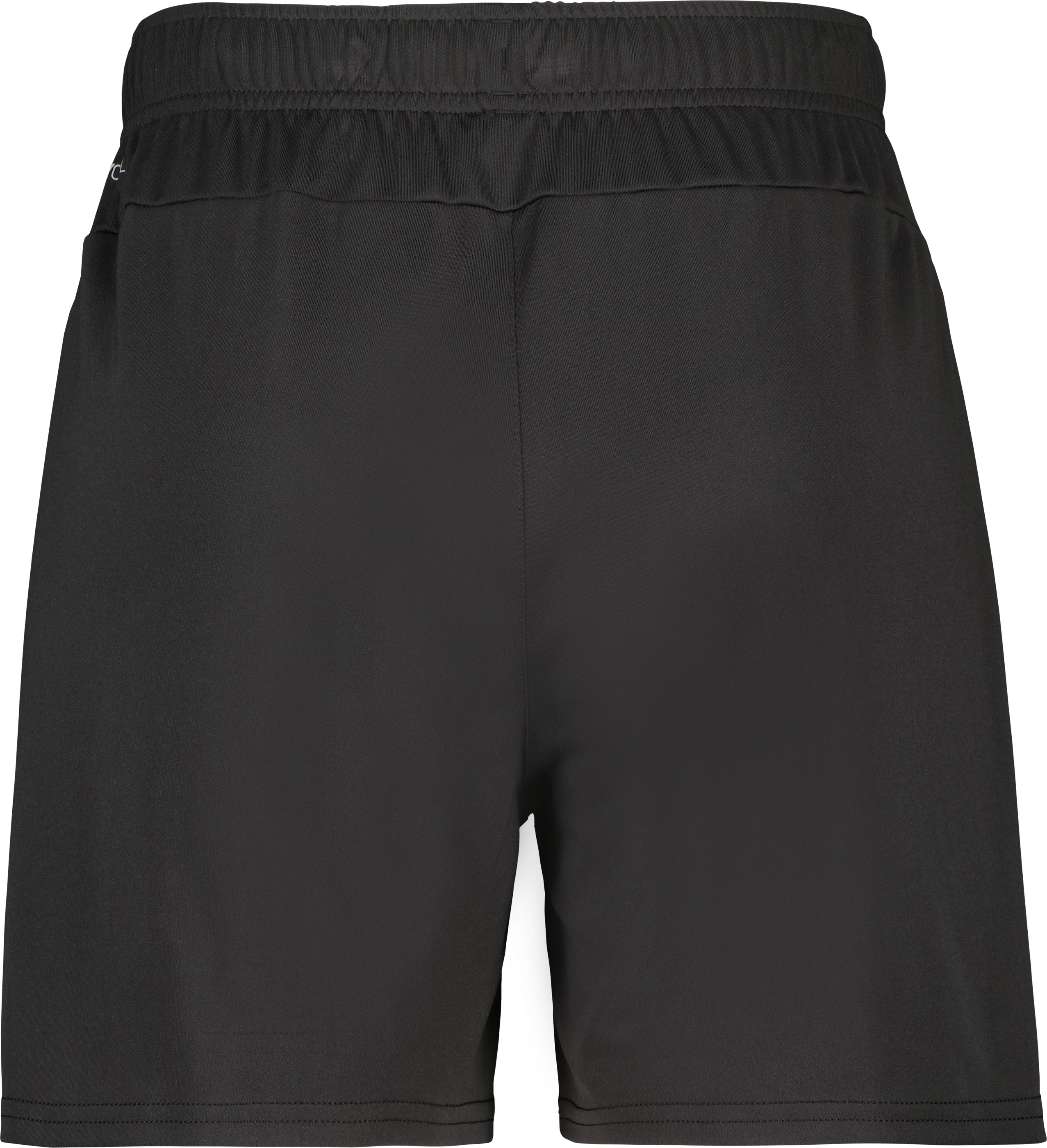 teamGOAL Shorts W 