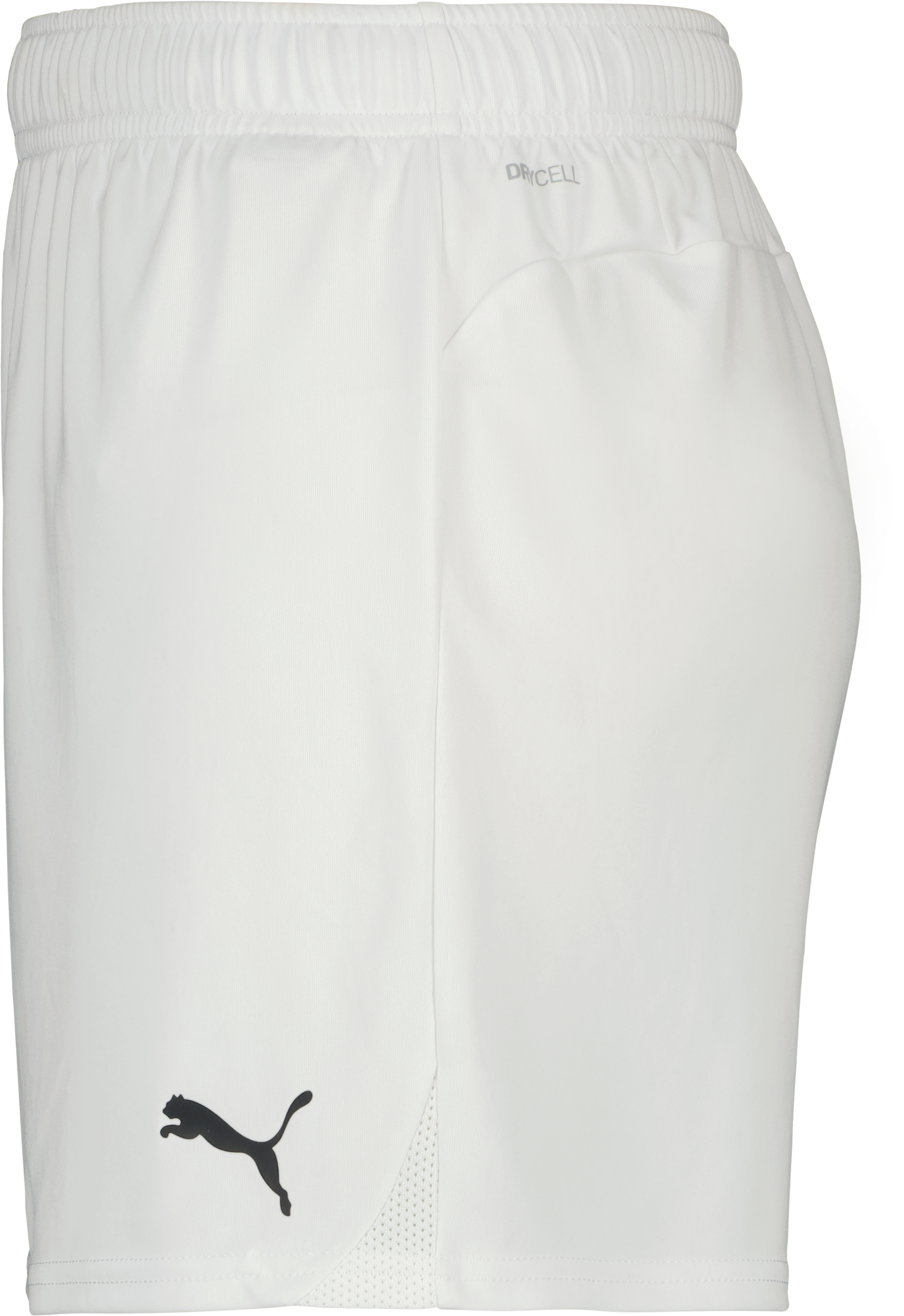 teamGOAL Shorts W 