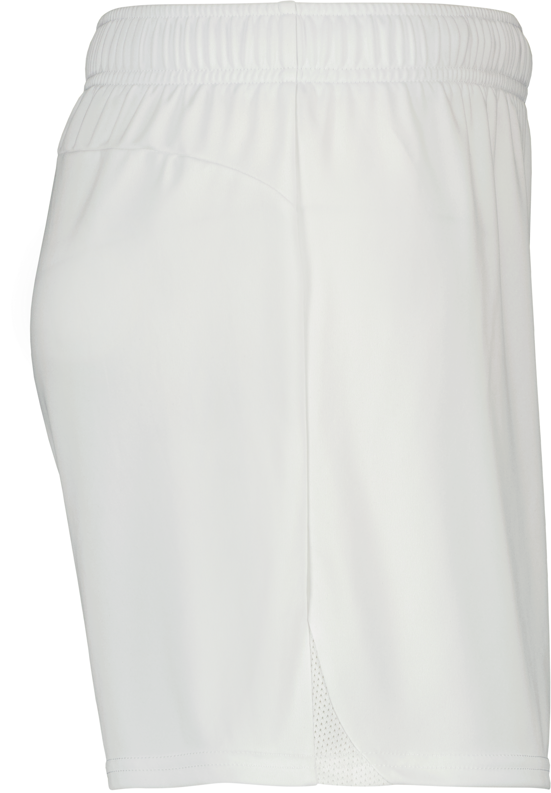 teamGOAL Shorts W 