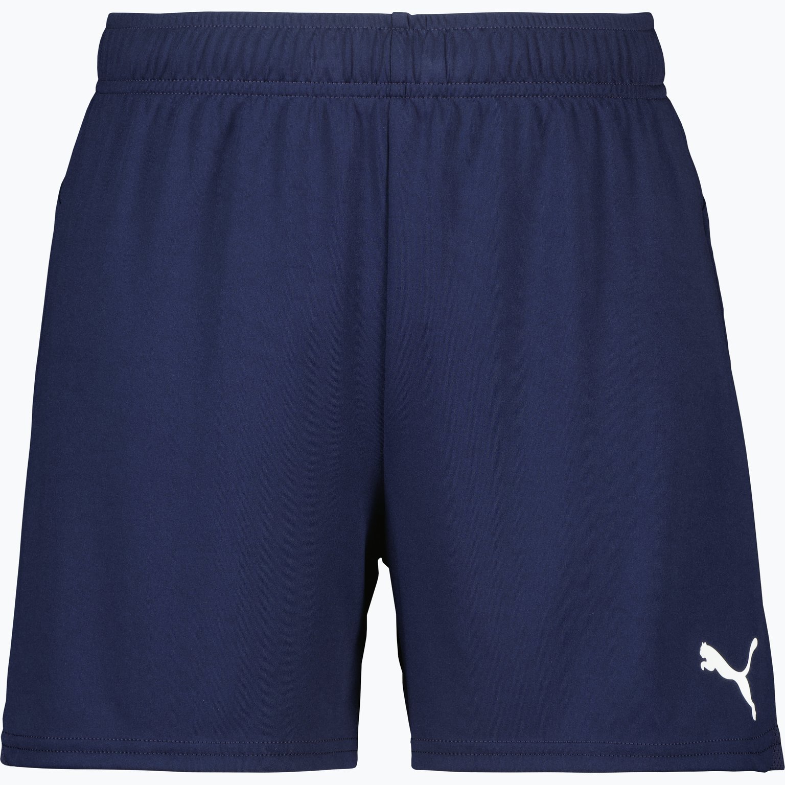 Puma teamGOAL Shorts W  Vit