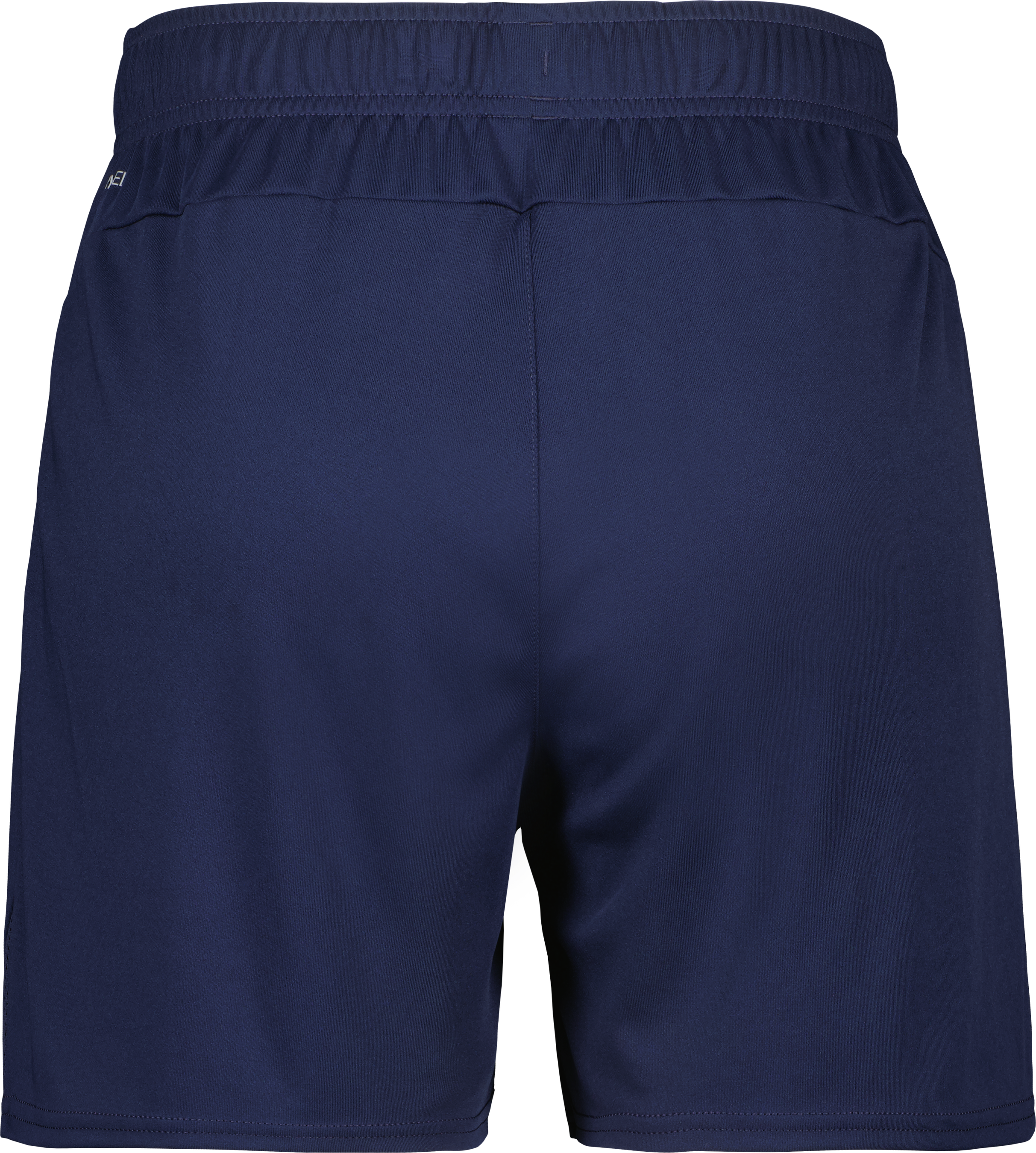 teamGOAL Shorts W 