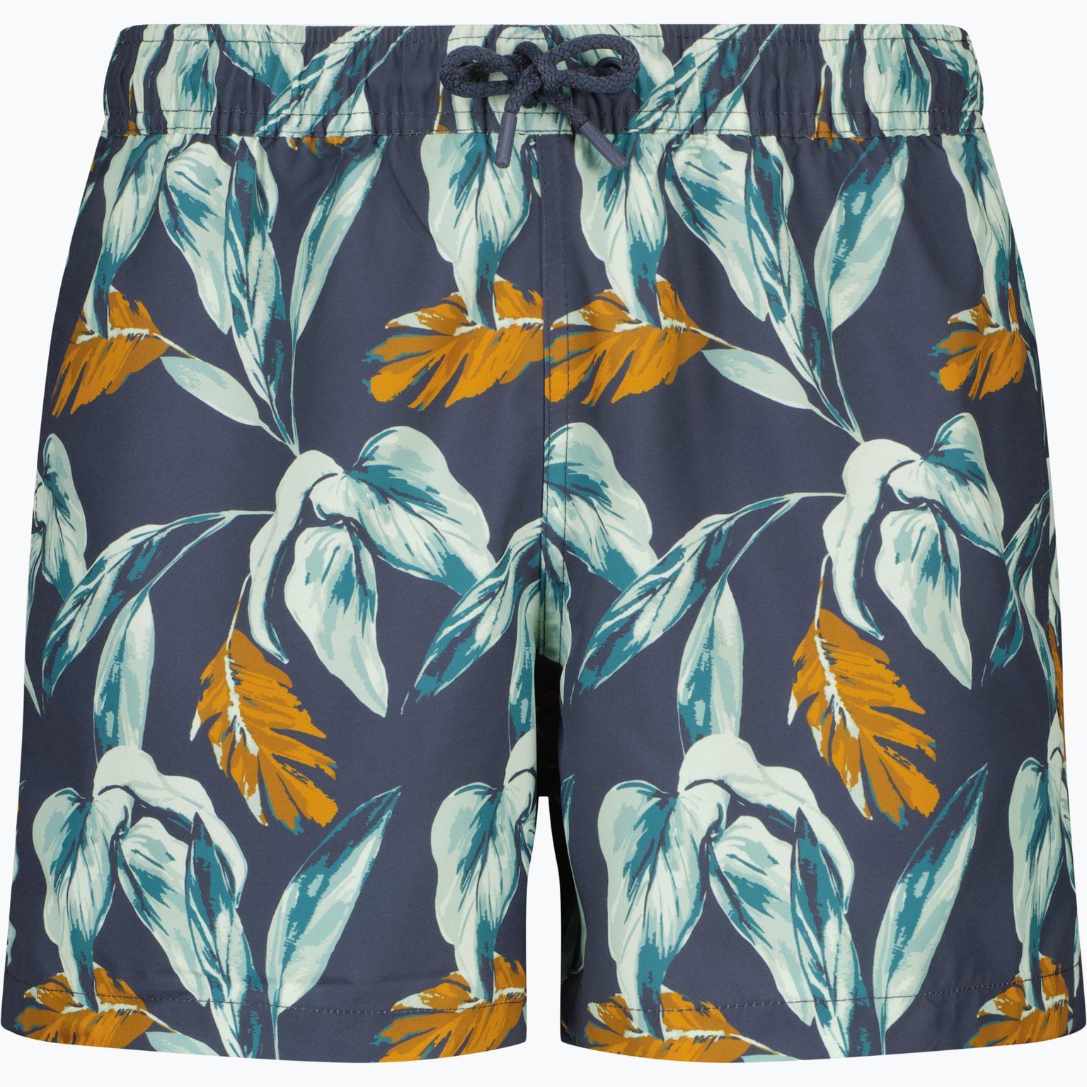 Björn Borg Borg Print M badshorts Flerfärgad