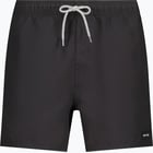 förhandsvisning ikon 1 för Rip curl Offset Volley M badshorts Svart