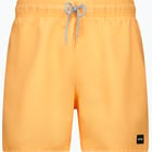 färgalternativ för Orange Rip curl Offset Volley M badshorts