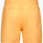 förhandsvisning ikon 2 för Rip curl Offset Volley M badshorts Orange