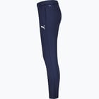 förhandsvisning ikon 3 för Puma teamGOAL PRO Training Pants W Blå