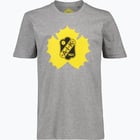 färgalternativ för Grå Skellefteå AIK Classic jr t-shirt