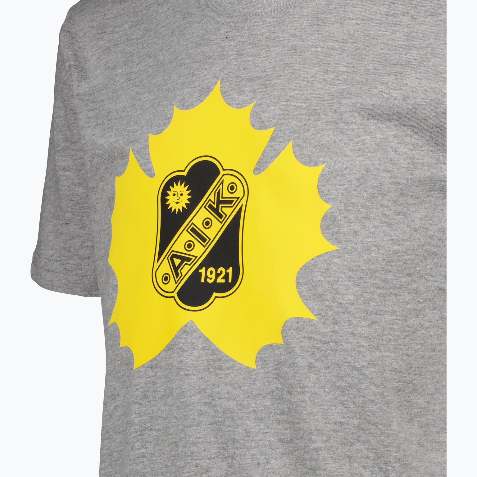 Skellefteå AIK Classic jr t-shirt Grå