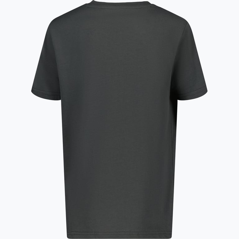 Lyle & Scott Sports JR t-shirt Grå