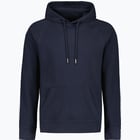 färgalternativ för Blå CLEAR COLLAR Raglan M Hoody