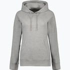 färgalternativ för Grå CLEAR COLLAR Raglan W Hoody