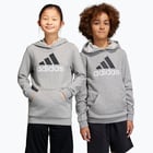 färgalternativ för Grå adidas Essentials Big Logo 2 JR huvtröja