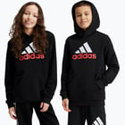 färgalternativ för Svart adidas Essentials Big Logo 2 JR huvtröja