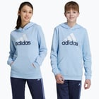 färgalternativ för Blå adidas Essentials Big Logo 2 JR huvtröja