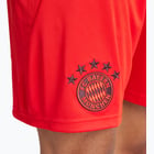 förhandsvisning ikon 4 för adidas Bayern München Home 24/25 träningsshorts Röd