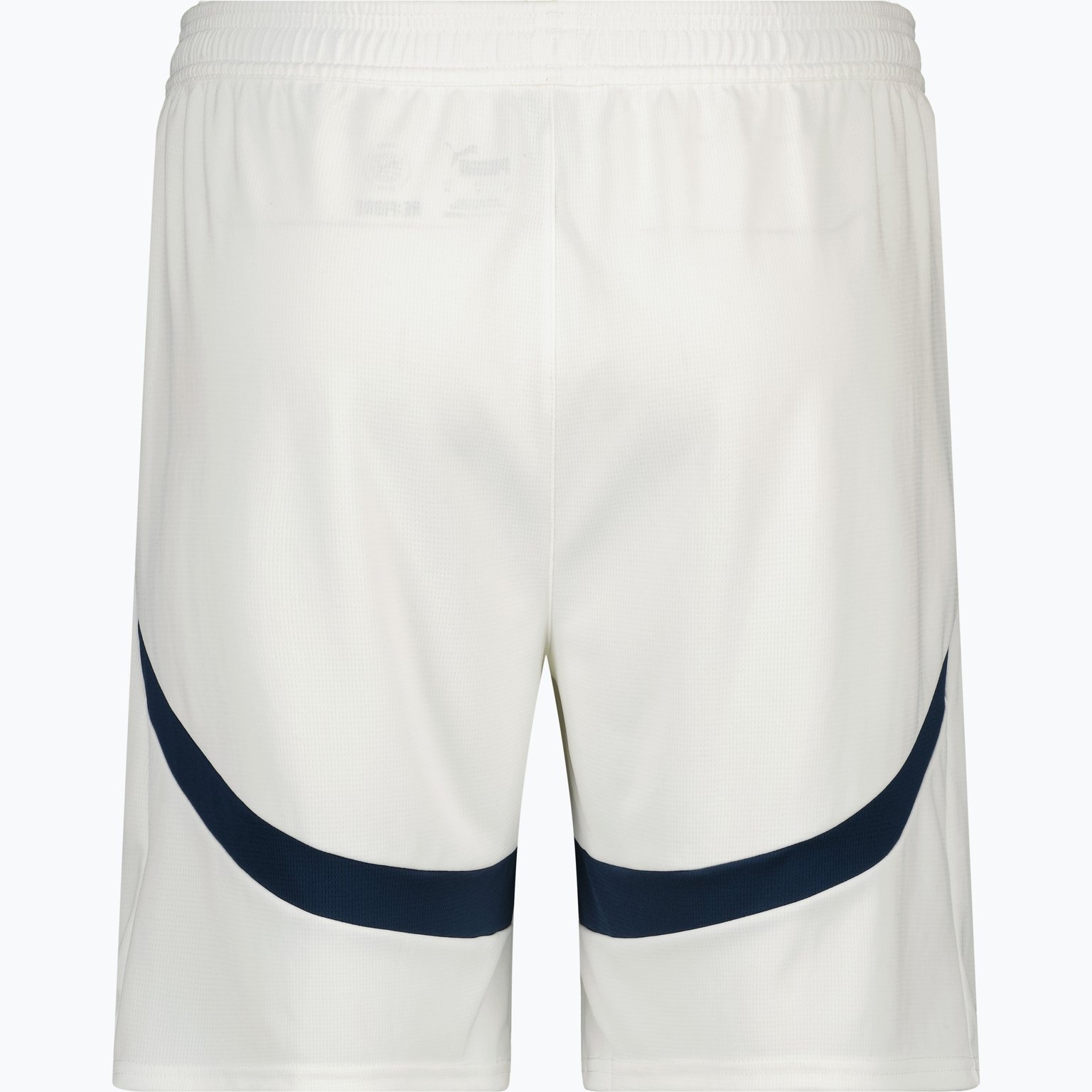 Puma Manchester City FC 23/24 M träningsshorts Vit