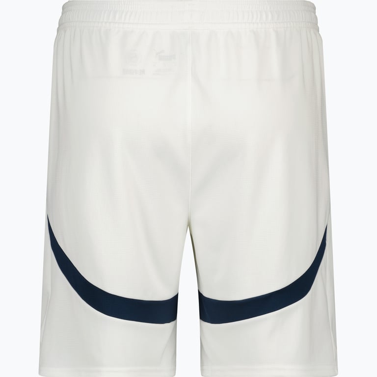 Puma Manchester City FC 23/24 M träningsshorts Vit