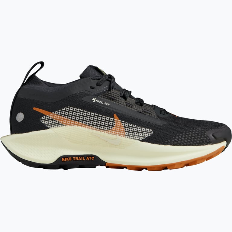 Nike Pegasus Trail 5 Gore-Tex W löparskor Svart