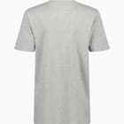 förhandsvisning ikon 2 för Hammarby CREST T-shirt JR Grå