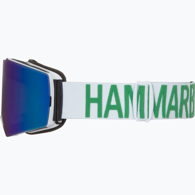 Hammarby Skidglasögon Grön