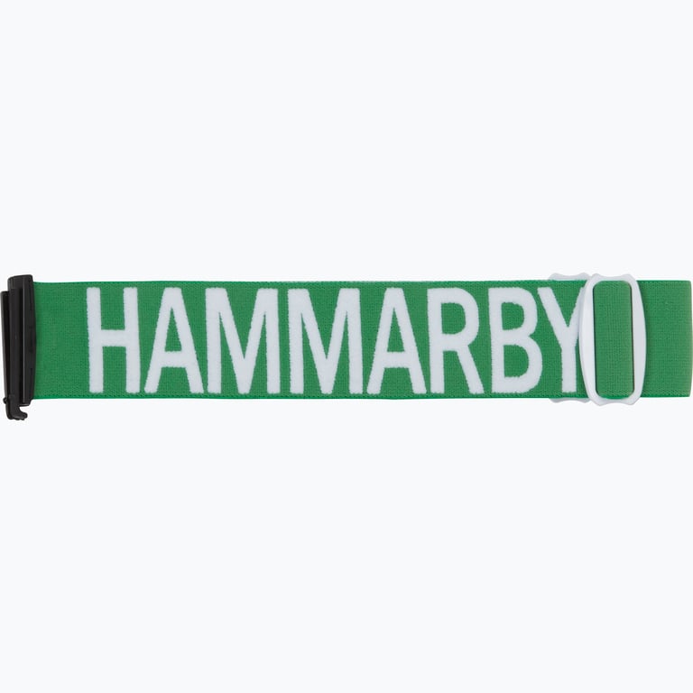 Hammarby Skidglasögon Grön