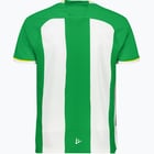 förhandsvisning ikon 2 för Hammarby HAMMARBY 24 PRE SEASON JERSEY M Grön