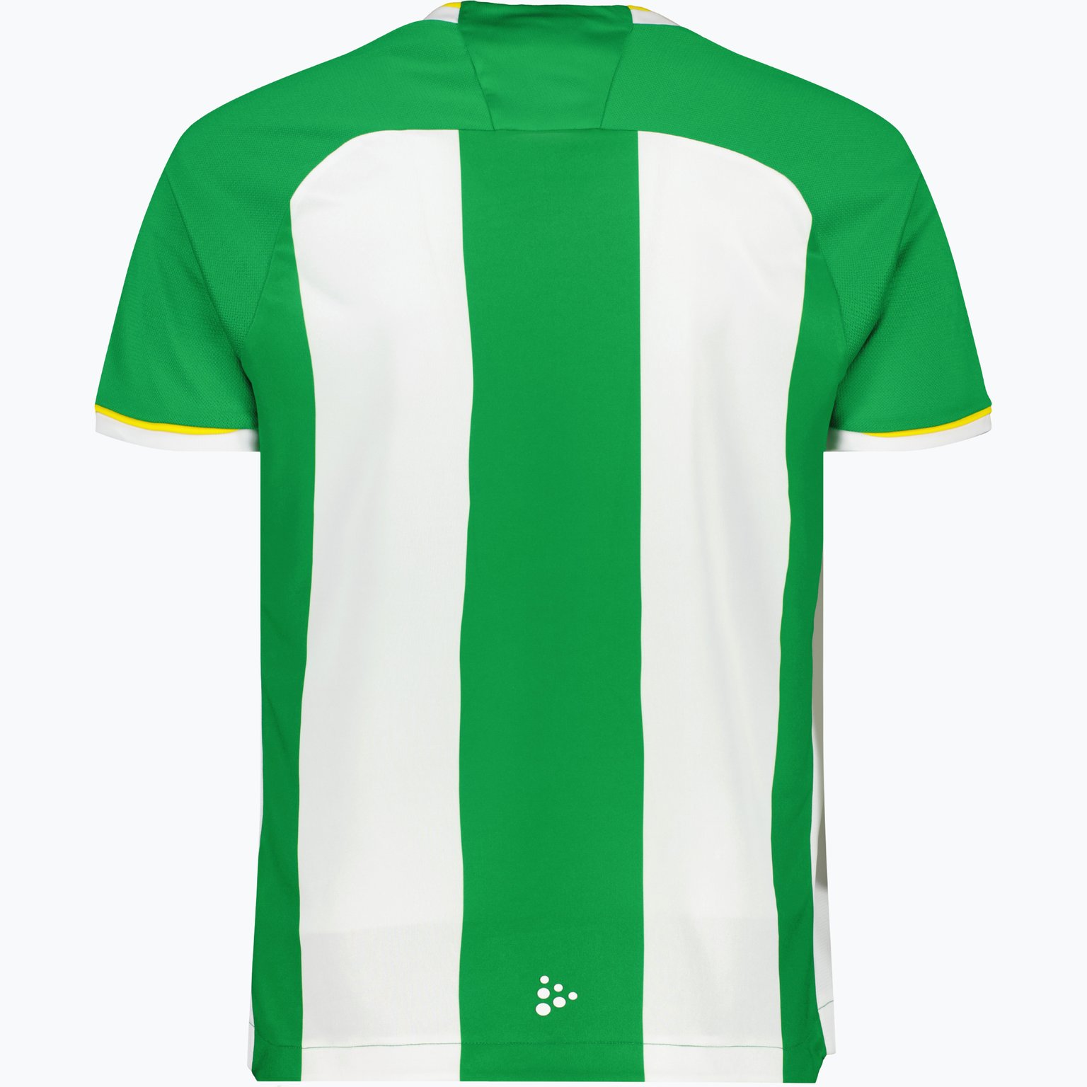 Hammarby HAMMARBY 24 PRE SEASON JERSEY M Grön