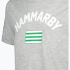 förhandsvisning ikon 3 för Hammarby FLAG T-SHIRT JR Grå