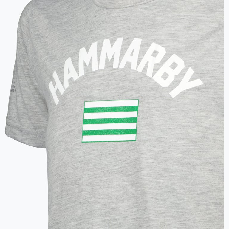 Hammarby FLAG T-SHIRT JR Grå