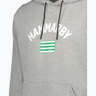 förhandsvisning ikon 3 för Hammarby FLAG HOODIE M Grå