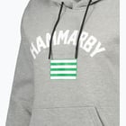 förhandsvisning ikon 3 för Hammarby FLAG HOODIE W Grå