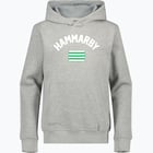 förhandsvisning ikon 1 för Hammarby FLAG HOODIE JR Grå