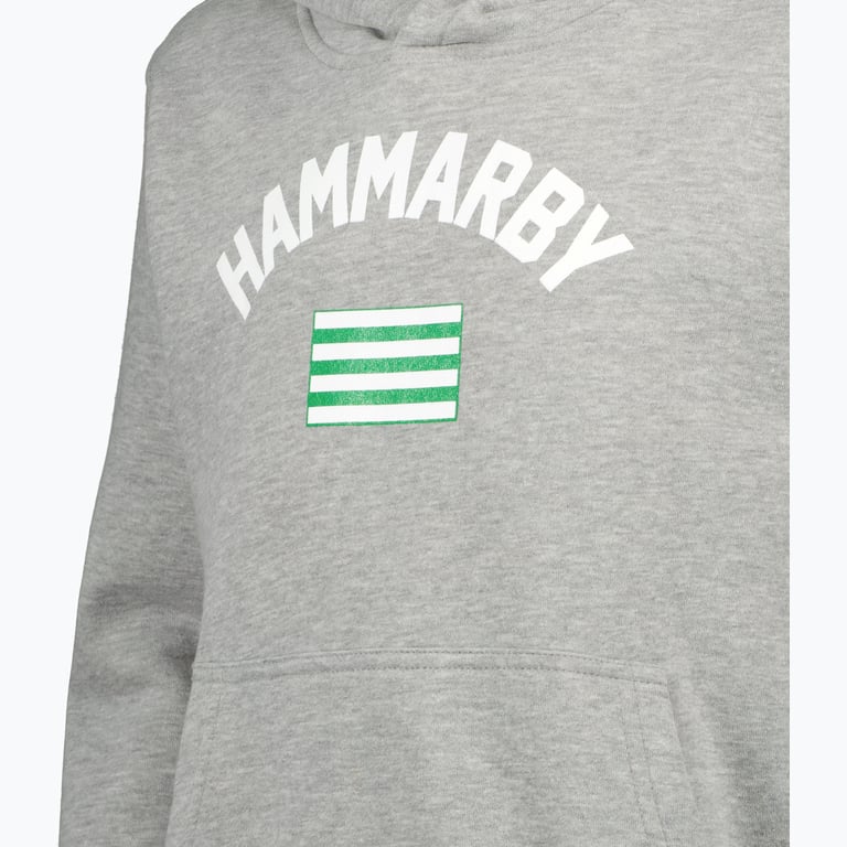 Hammarby FLAG HOODIE JR Grå