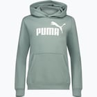 färgalternativ för Grön Puma Essentials Logo Fleece M huvtröja