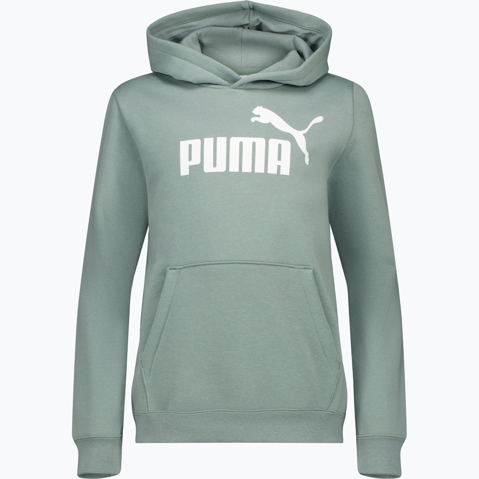 Puma Essentials Logo Fleece M huvtröja Grön