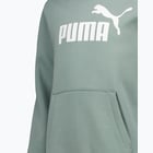 förhandsvisning ikon 3 för Puma Essentials Logo Fleece M huvtröja Grön