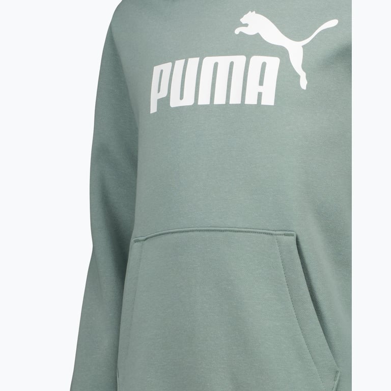 Puma Essentials Logo Fleece M huvtröja Grön