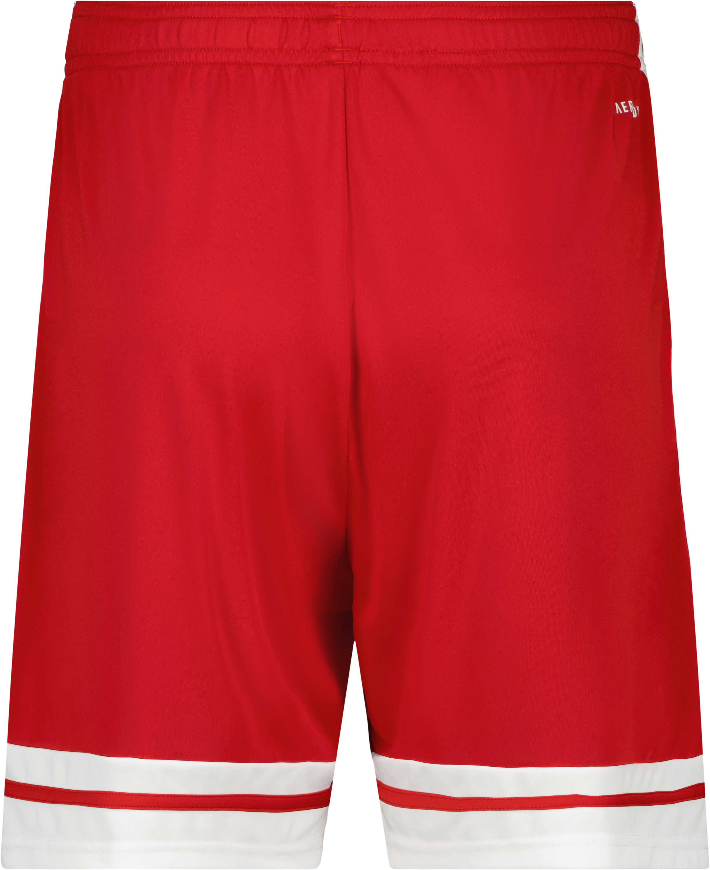 Squadra 25 M träningsshorts