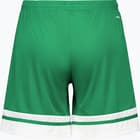 förhandsvisning ikon 2 för adidas Squadra 25 W träningsshorts Grön