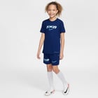 förhandsvisning ikon 10 för Nike Academy25 Erling Haaland JR träningst-shirt Blå