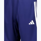 förhandsvisning ikon 3 för adidas Train Essentials 3-Stripes JR träningsshorts Blå