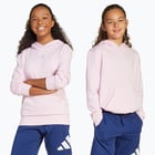 färgalternativ för Rosa adidas Essentials JR huvtröja