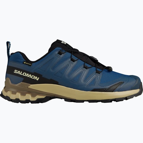 Salomon XA Pro 3D v9 Gore-Tex M walkingskor Blå