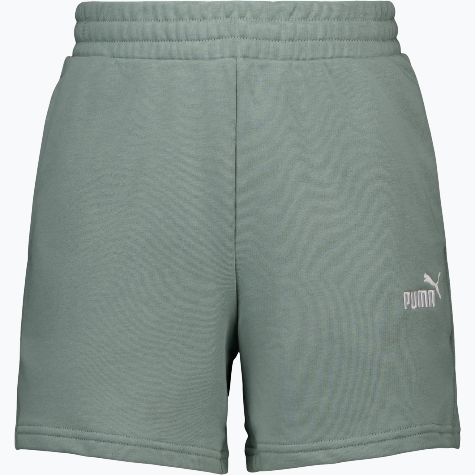 Puma Essentials Small Logo M shorts Grön