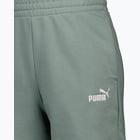 förhandsvisning ikon 6 för Puma Essentials Small Logo M shorts Grön