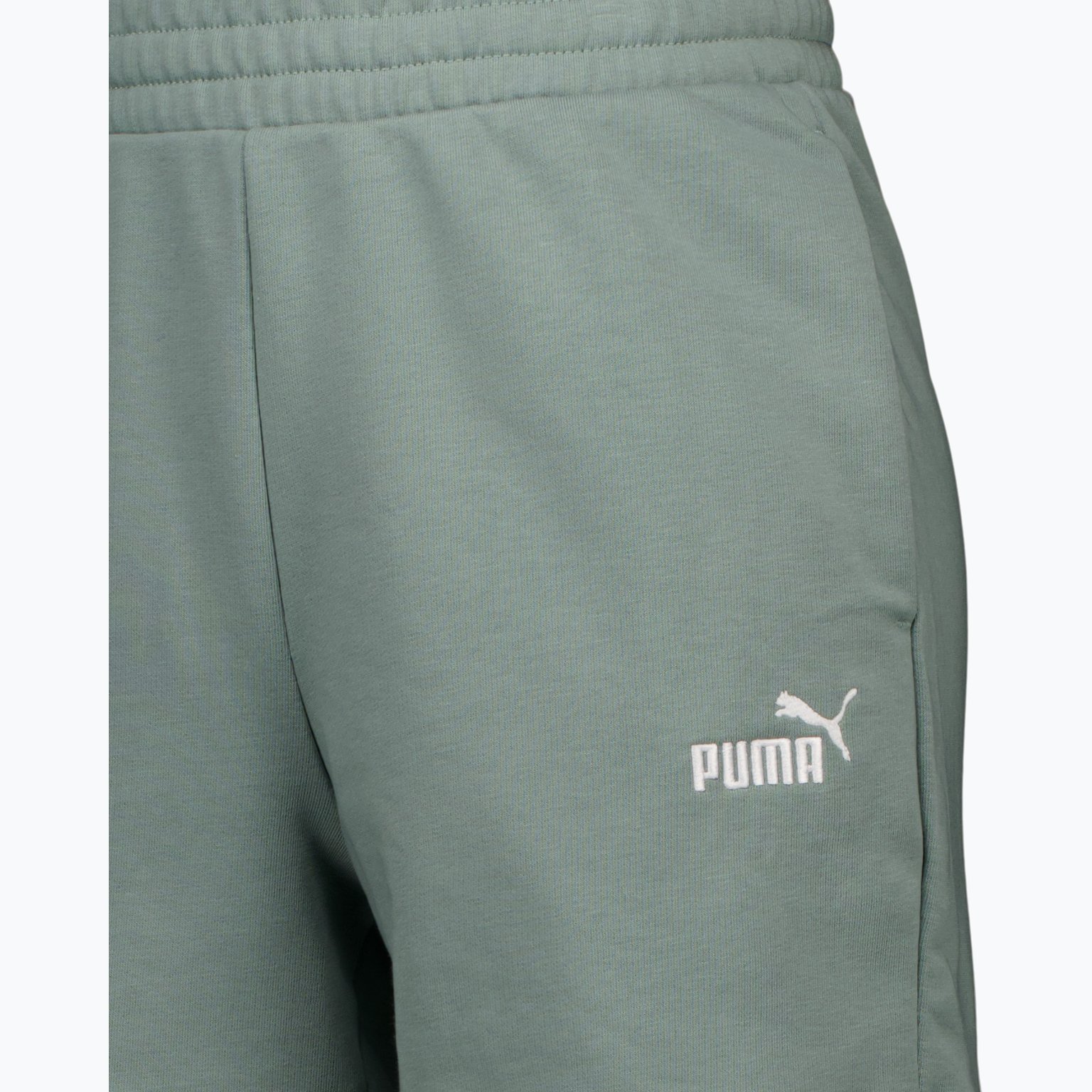 Puma Essentials Small Logo M shorts Grön