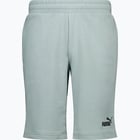 förhandsvisning ikon 4 för Puma Essentials Small Logo M shorts Grön